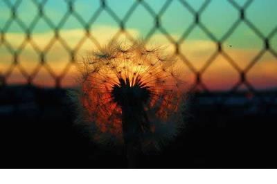 描写农村人穷的句子