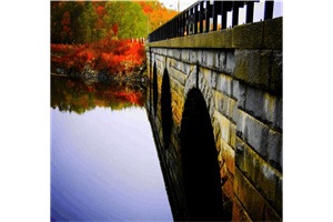 沈常乐路听野全文免费阅读大结局_沈常乐路听野小说免费阅读最新章节列表