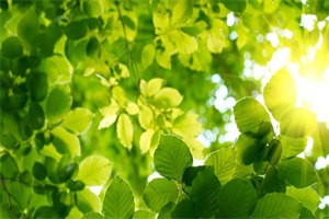 姜姒顾忻州小说全文免费阅读_（姜姒顾忻州）全文阅读