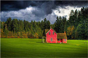 天昊云芙云深(误为司晨)全文免费阅读_误为司晨最新章节阅读