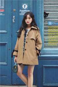 大朝之势：帝师是个败家子免费阅读