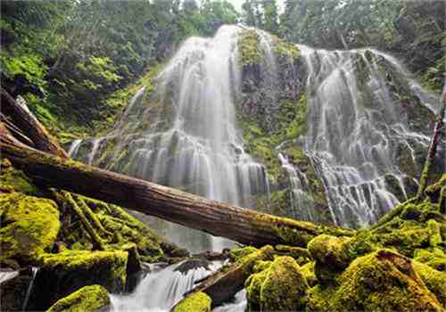 风绝温落(军长夺爱，暖妻有毒)小说免费阅读_风绝温落全文全章节在线阅读
