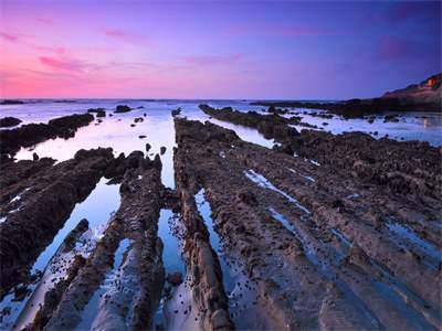 替嫁残疾大佬后他站起来了小说最后结局(季诗冉陆以琛)完结版免费阅读