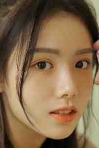 我们在梦里有相逢