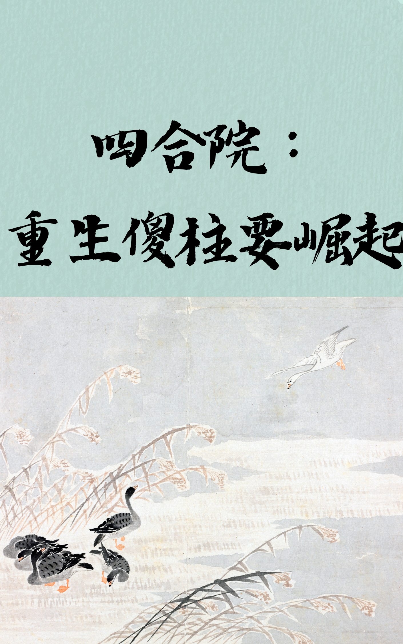 求何雨柱秦淮茹小说免费资源