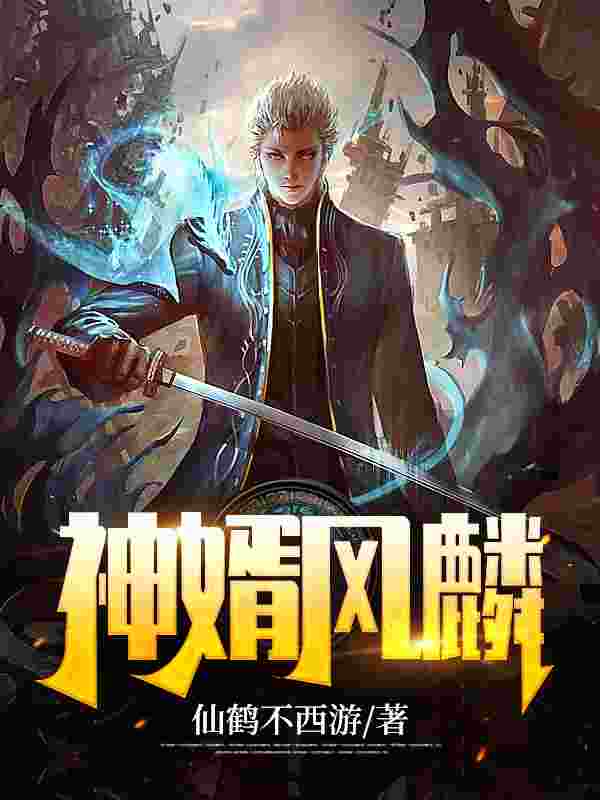 神婿风麟风麟安澜小说免费阅读