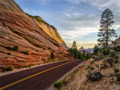 抖音小说霍染贺遂-霍染贺遂无广告免费阅读