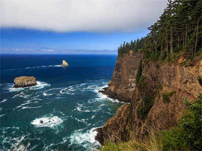 沈小染萧聿最新章节免费阅读-小说沈小染萧聿大结局