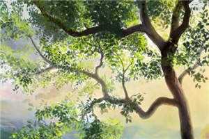 三爷，夫人她成了全球首富