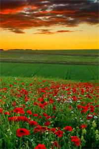 环太平洋：徒手打造机甲怪物