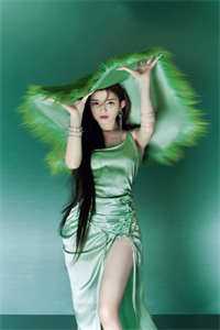 冷王追妻：娇宠狂妃要逆天