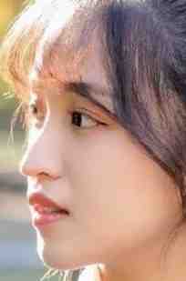 皇上！娘娘她又去整治后宫了