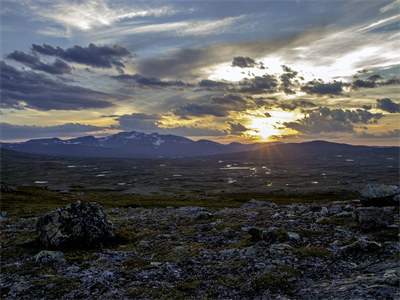 主角棠花似锦小说免费阅读全文苏乌傅怀景-棠花似锦小说番外苏乌傅怀景全文阅读