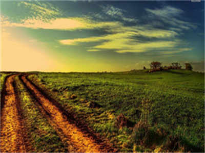 抖音近期最火小说纪修年虞鸢（出狱后:影帝夫人成了黑粉头头）免费阅读-纪修年虞鸢出狱后:影帝夫人成了黑粉头头全文完本大结局阅读