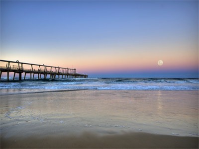 高睿琛郁晨全文免费阅读大结局小说高睿琛郁晨-（高睿琛郁晨）最新章节精彩阅读