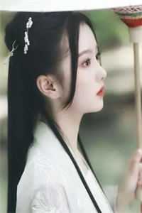 我真的只想做宰相小说