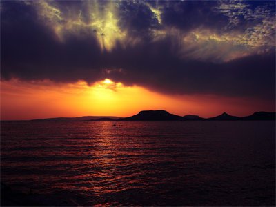 夏蓝兮季伤年最新章节在线阅读-主角是夏蓝兮季伤年的小说叫什么名字