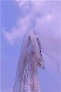 穿越七零，嫁退伍糙汉养三崽