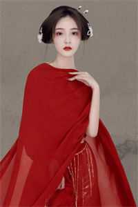 少帅宠上天:神棍夫人萌又飒