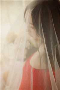 分手后，慕少追妻宠不停免费