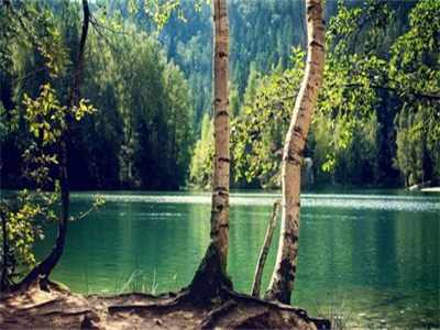 抖音热文分享南初桑景淮(桑景淮桑夫人)-美文赏析（桑景淮桑夫人）南初桑景淮已完结全集大结局小说