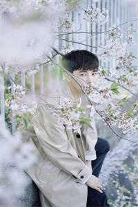 隐退十年，我接班了我自己全文