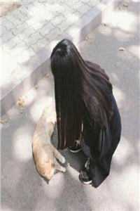 刚离婚，我突破金丹期，引来天劫小说