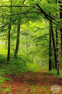 苟成农夫后,老祖跪地朝拜