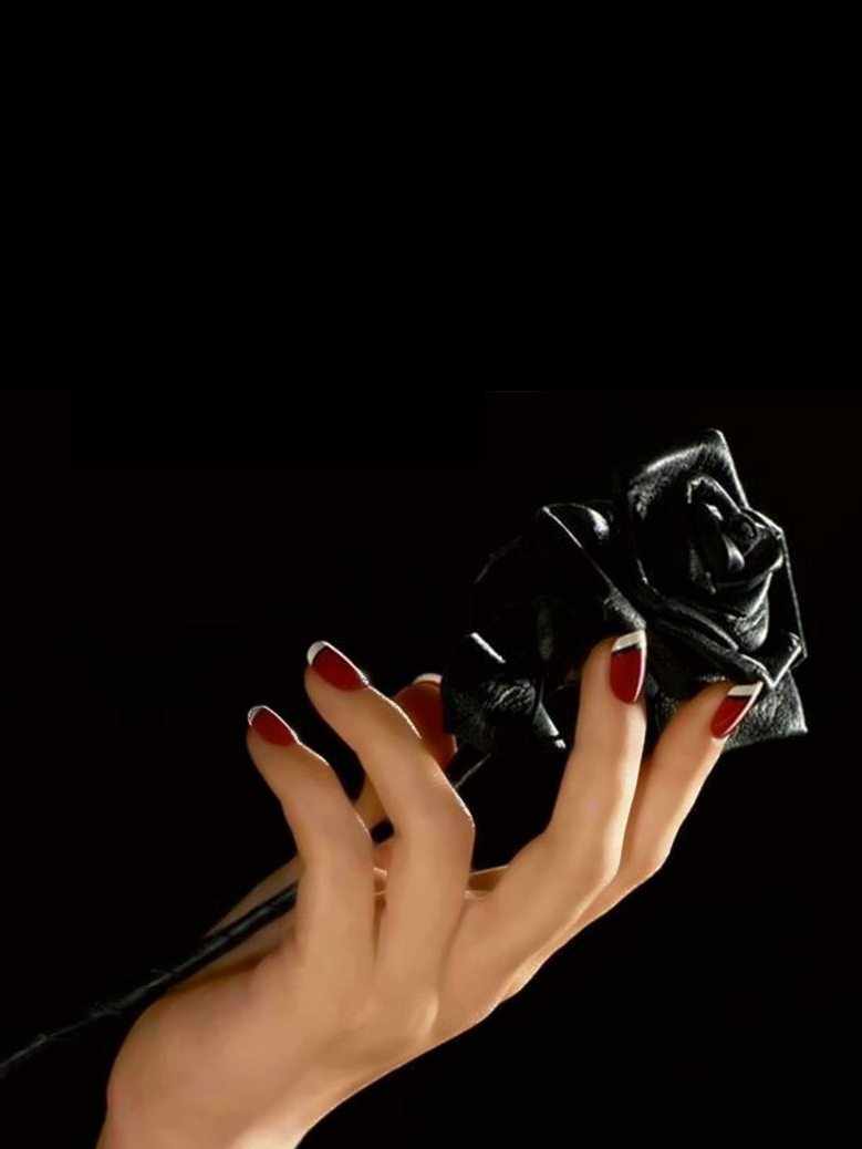 《方鸢张霆佑》小说主角方鸢张霆佑全文章节免费在线阅读