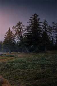 驭兽为王:冷宫皇女不好惹小说