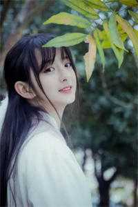 穿书:修仙我不行,摸鱼第一名