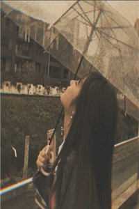 海贼王:开局为我时停三年