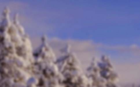 与冬天有关的美文