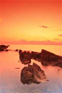 豪门太太身份曝光后,全员火葬场了