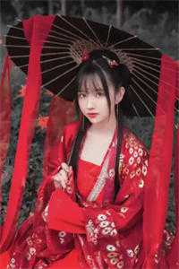 傻王狂妃，名扬天下