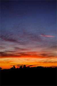 厨神：从监狱掌大勺开始