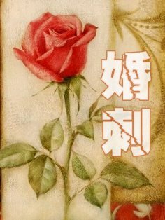 主角叫卢丹妮邓佳哲的小说在哪阅读