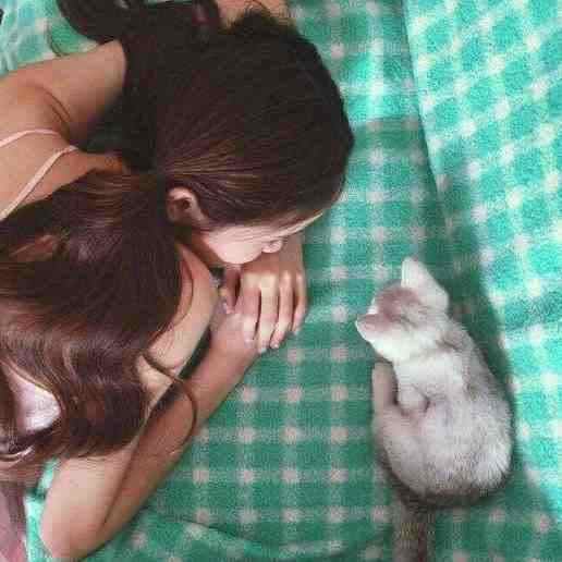 跟女明星直播连线后被金屋藏娇了小说