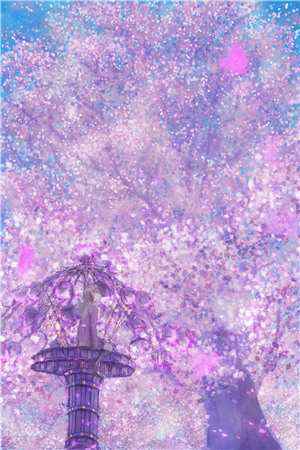 福运绵绵，团宠小皇姑小说