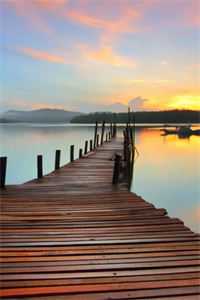 豪掷千金:现在抱大腿还来得及吗