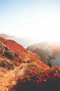 乖,别走!江爷又在哄他的大小姐