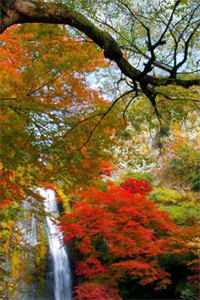 快穿:撩人女配她千娇百媚