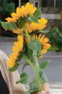 直播走进科学,开局阴兵借道?