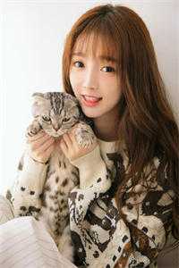 三国：从曹营开始崛起