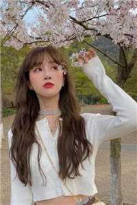 闪婚程少太会撩