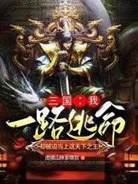 三国:我一路逃命,却被迫当上这天下之主!免费阅读,三国:我一路逃命,却被迫当上这天下之主!刘琮马忠