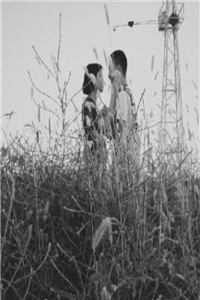 重生后，大佬她靠算命暴富