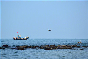 医生何求沈逸尘简黎心完整版全文在线阅读