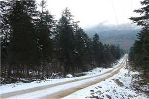 《林幼微商屿墨》小说全文_林幼微商屿墨无弹窗阅读