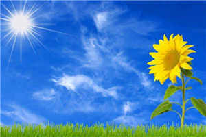 将军不得控章节目录花岚伊秦穆易小说阅读